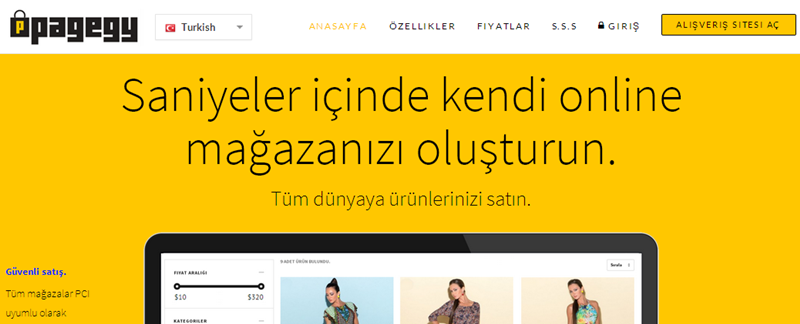 pagegy.com