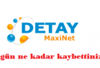 detaymaxinet