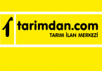 tarimdan.com