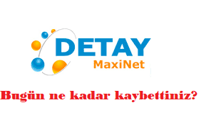 detaymaxinet