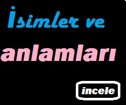 mouse ile üzerine gelince
